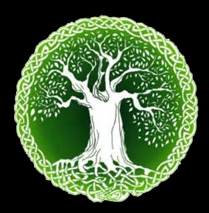 Witness Tree